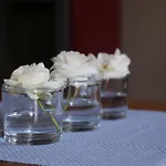 Vakantiehuisje Де-Хаан